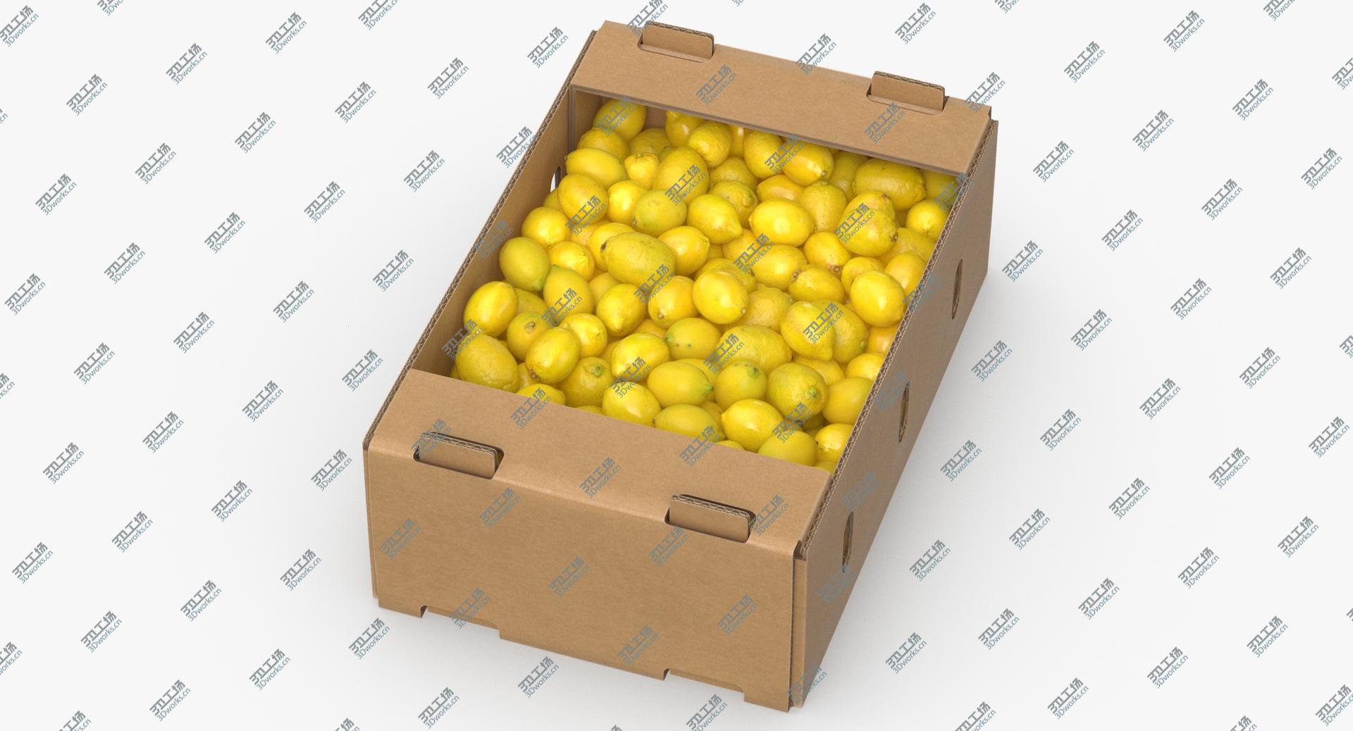 images/goods_img/2021040231/3D model Cardboard Display Box 01 with Lemons/2.jpg
